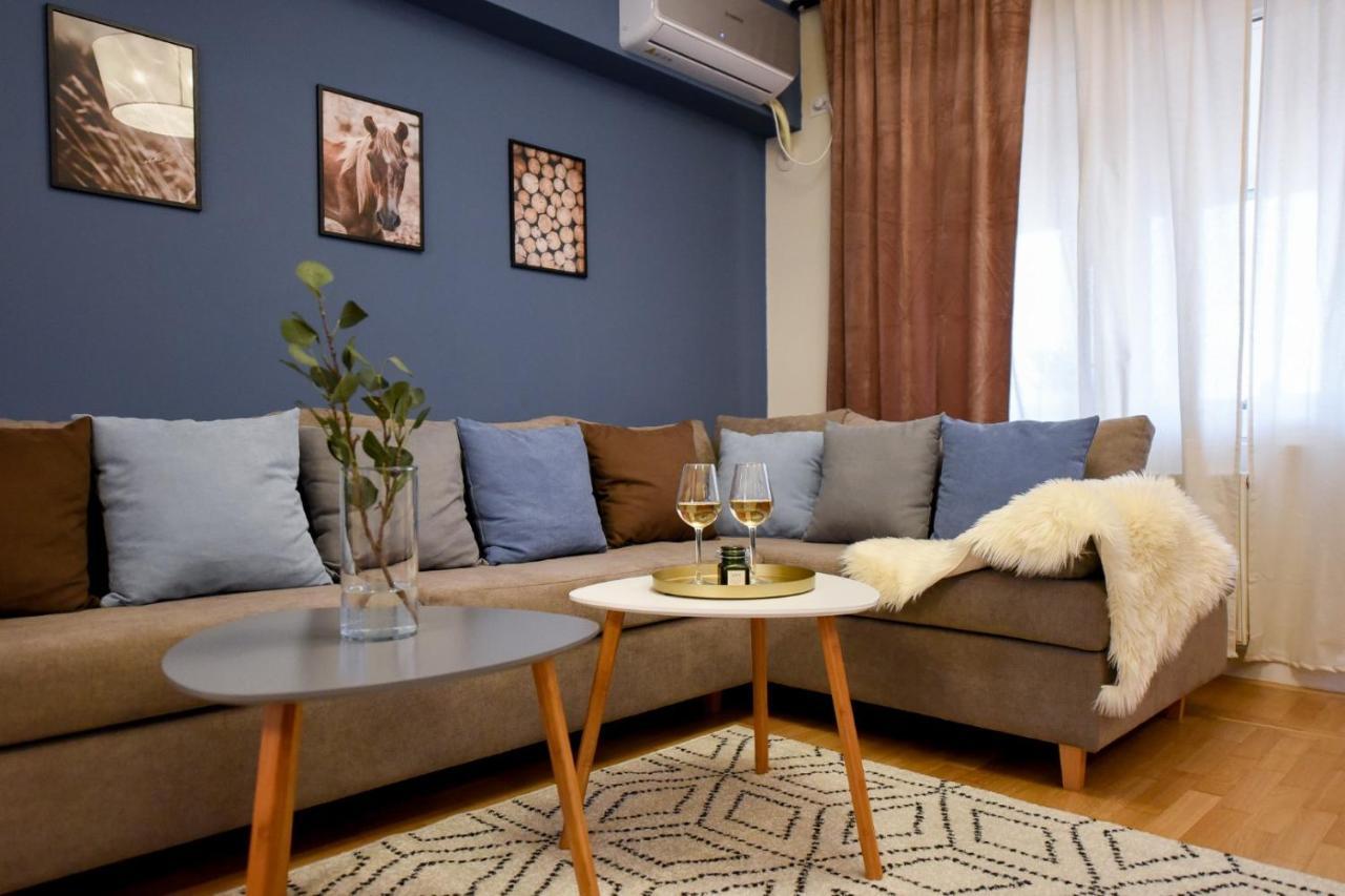 بوخارست The Dream Apartment - Near Radisson Hotel المظهر الخارجي الصورة