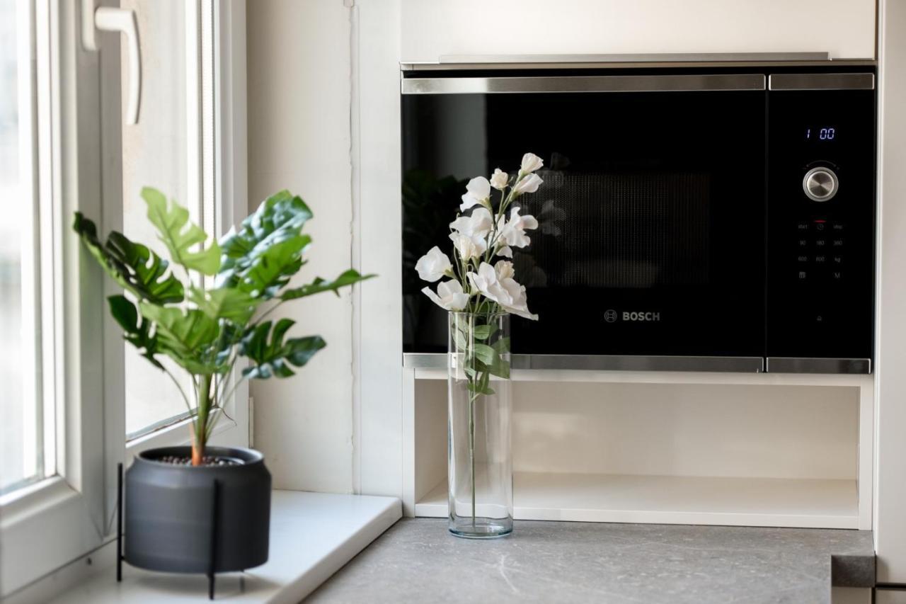 بوخارست The Dream Apartment - Near Radisson Hotel المظهر الخارجي الصورة